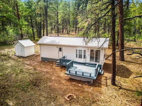 247 Deans Pl, Pagosa Springs, CO 81147