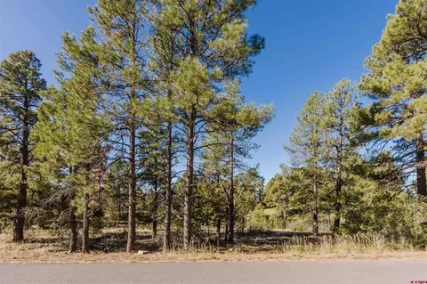79 E Golf Pl, Pagosa Springs, CO 81147
