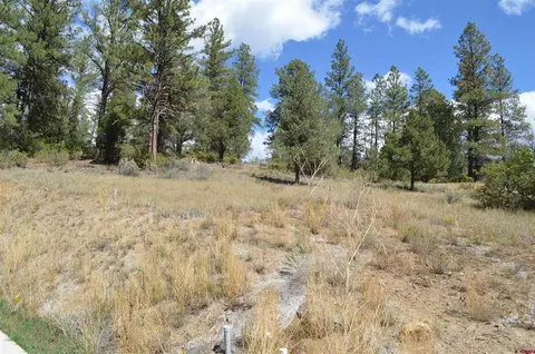 89 Wild Chives Ct, Durango, CO 81301 photo 5