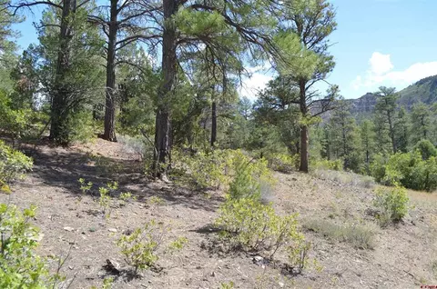 89 Wild Chives Ct, Durango, CO 81301 photo 8