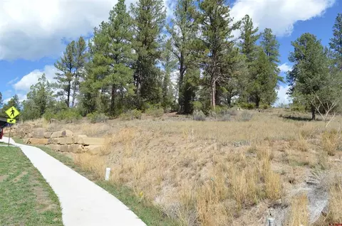 89 Wild Chives Ct, Durango, CO 81301 photo 4
