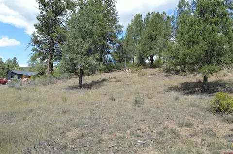 89 Wild Chives Ct, Durango, CO 81301 photo 12
