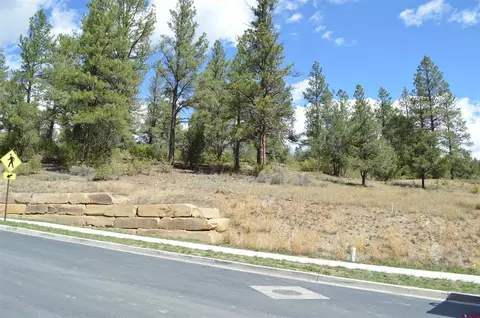 89 Wild Chives Ct, Durango, CO 81301 photo 3