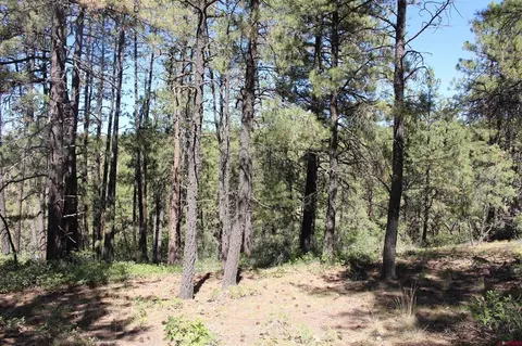 1286 Crooked Rd, Pagosa Springs, CO 81147