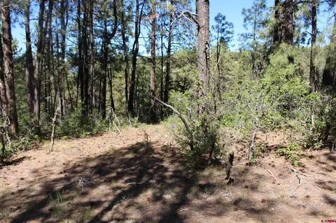 1260 Crooked Rd, Pagosa Springs, CO 81147