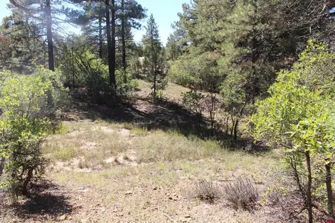 1222 Crooked Rd, Pagosa Springs, CO 81147