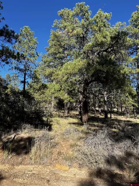 1601 W View Rd, Pagosa Springs, CO 81147