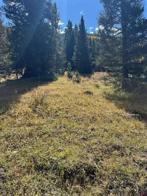 Riverside Group Cr 2, Silverton, CO 81433 photo 17