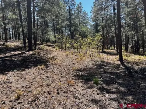 221 Badger Rd, Bayfield, CO 81122