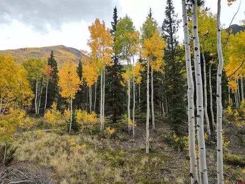 10 Alpine Vista Way, Lake City, CO 81235