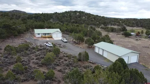 19316 Ward Creek Rd, Cedaredge, CO 81413