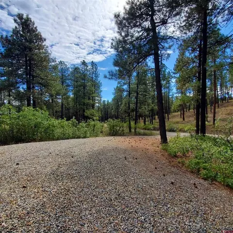 282 Pine Ln, Bayfield, CO 81122