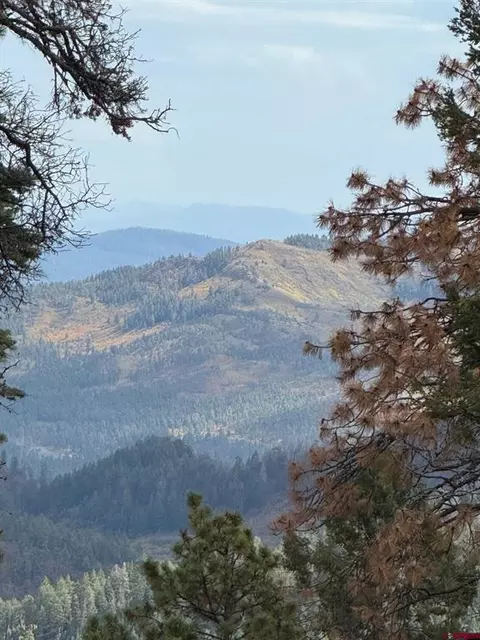 Big Timber And Ocala Drive, Bayfield, CO 81122