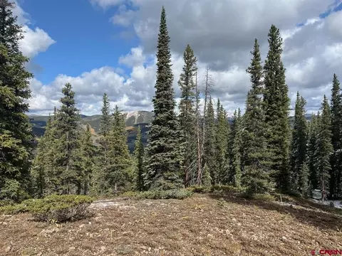 400 Forest Service Road 550 Rd, Almont, CO 81210