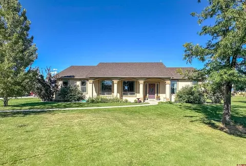 424 Shilo Ct, Delta, CO 81416