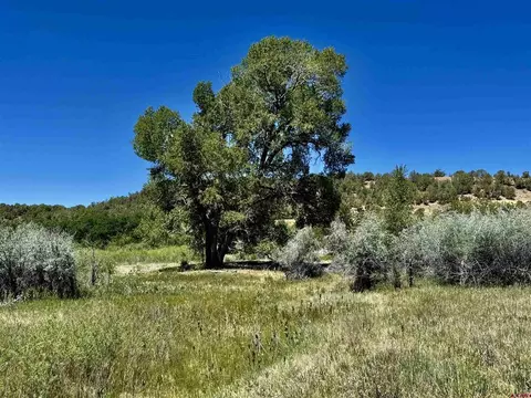 769 784 Bareback Ln, Durango, CO 81303 photo 9