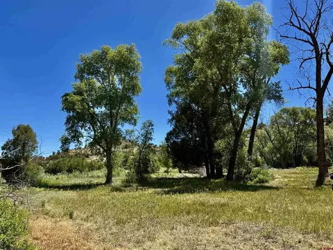 769 784 Bareback Ln, Durango, CO 81303 photo 28