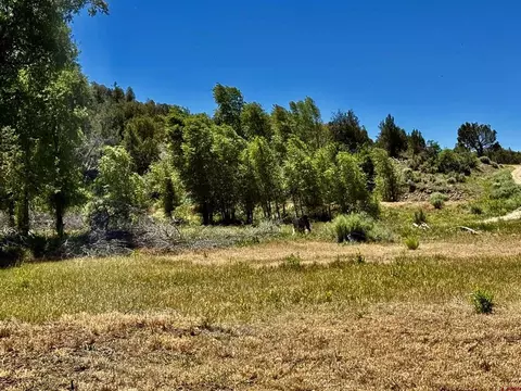 769 784 Bareback Ln, Durango, CO 81303 photo 30