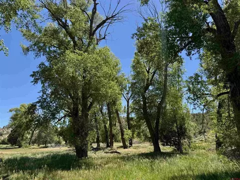 769 784 Bareback Ln, Durango, CO 81303 photo 11