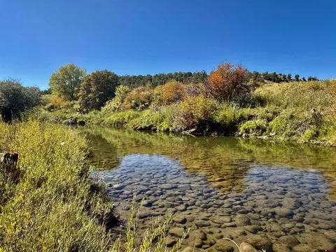 769 784 Bareback Ln, Durango, CO 81303
