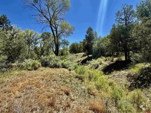 769 784 Bareback Ln, Durango, CO 81303 photo 29