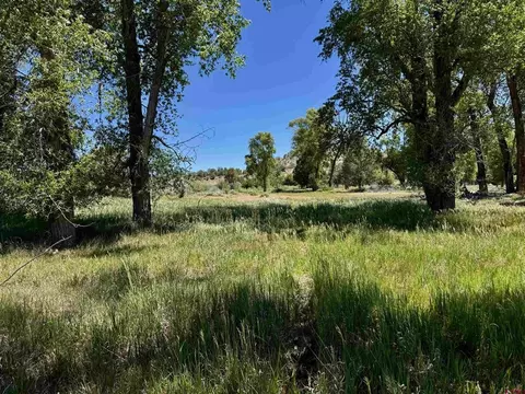 769 784 Bareback Ln, Durango, CO 81303 photo 4