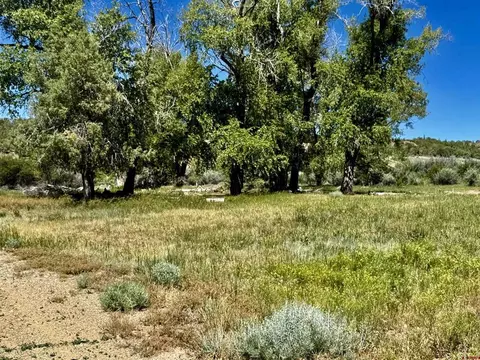 769 784 Bareback Ln, Durango, CO 81303 photo 16