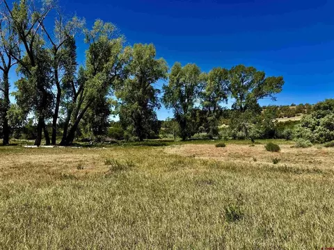 769 784 Bareback Ln, Durango, CO 81303 photo 13