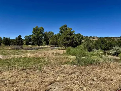 769 784 Bareback Ln, Durango, CO 81303 photo 20