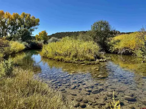 769 784 Bareback Ln, Durango, CO 81303 photo 5