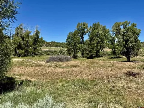 769 784 Bareback Ln, Durango, CO 81303 photo 23