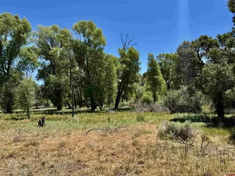 769 784 Bareback Ln, Durango, CO 81303 photo 31