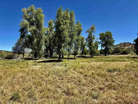 769 784 Bareback Ln, Durango, CO 81303 photo 10