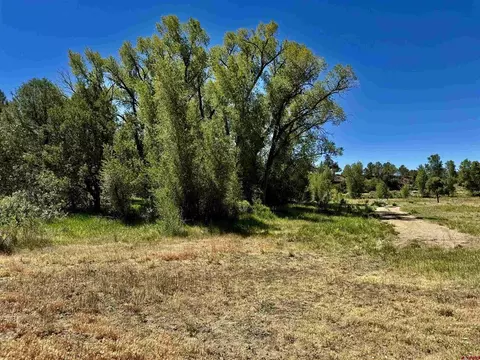 769 784 Bareback Ln, Durango, CO 81303 photo 18