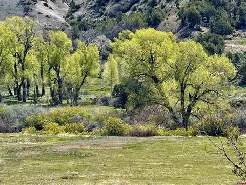 769 784 Bareback Ln, Durango, CO 81303 photo 6