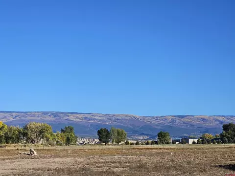 Other - 20194 Lilac Ct, Eckert, CO 81418 photo 2 of 4
