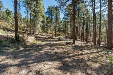 138 Green Ridge Dr, Bayfield, CO 81122