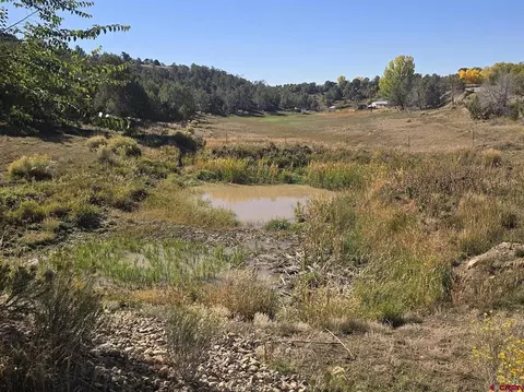 58 Rawhide Rd, Durango, CO 81303 photo 5