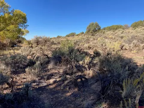 1590 SE 3rd St, Cedaredge, CO 81413 photo 7