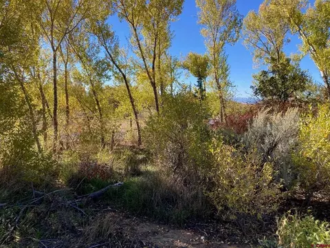 1590 SE 3rd St, Cedaredge, CO 81413 photo 9
