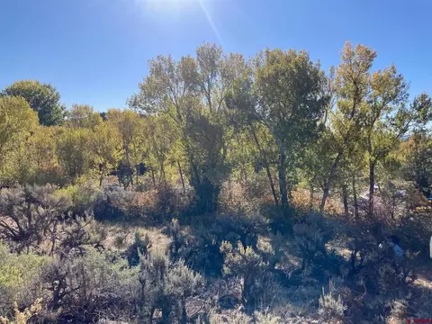 1590 SE 3rd St, Cedaredge, CO 81413 photo 18