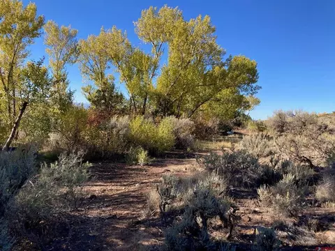 1590 SE 3rd St, Cedaredge, CO 81413 photo 8