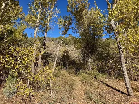 1590 SE 3rd St, Cedaredge, CO 81413 photo 21