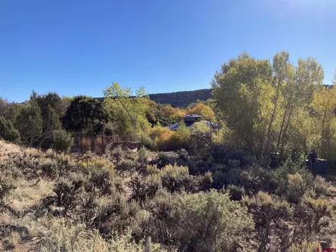 1590 SE 3rd St, Cedaredge, CO 81413 photo 13