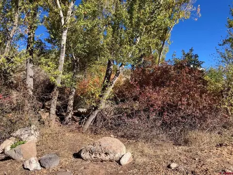 1590 SE 3rd St, Cedaredge, CO 81413 photo 24