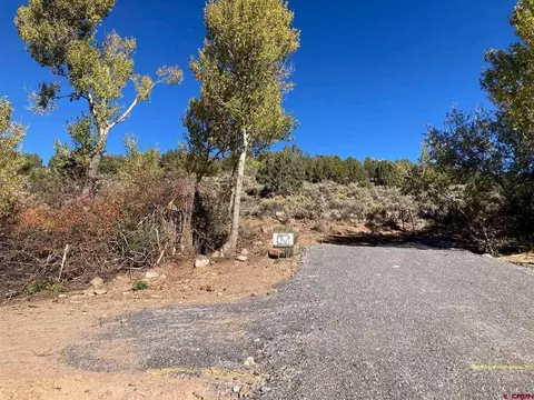 1590 SE 3rd St, Cedaredge, CO 81413 photo 3