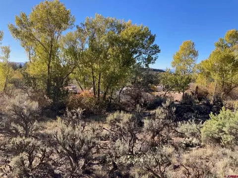1590 SE 3rd St, Cedaredge, CO 81413 photo 12