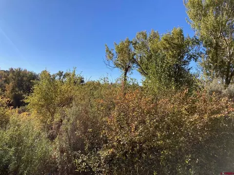 1590 SE 3rd St, Cedaredge, CO 81413 photo 5
