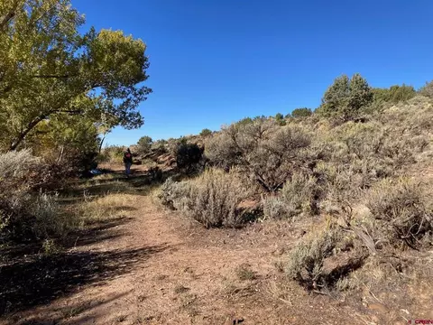 1590 SE 3rd St, Cedaredge, CO 81413 photo 10