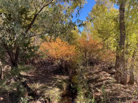 1590 SE 3rd St, Cedaredge, CO 81413 photo 19